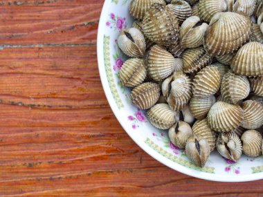 Closeup Parboiled cockles veya buğulanmış haşlanmış istiridye - Kuzeydoğu 