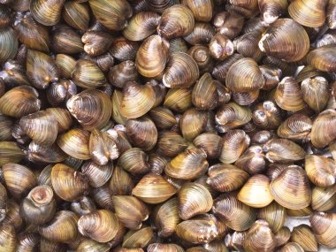 Sarımsak, Biber, Nane ve Fesleğen ile Kabuk Çorbası. Geleneksel Nor