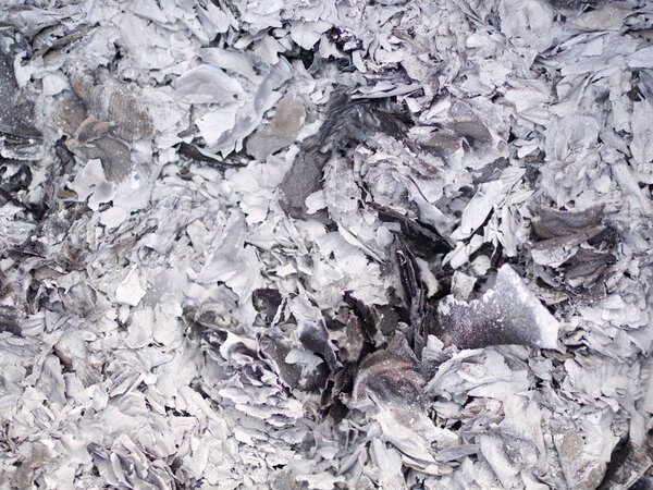 пепел и пепел из денег-призраков сжигание бумаги для Предка в
