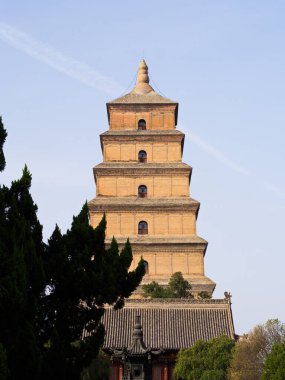 Dev Vahşi Kaz Pagoda ya da Büyük Vahşi Kaz Pagoda Budist pagoda 'dır. MS 652 yılında Tang Hanedanı döneminde inşa edilmiş ve beş katlı bir bina. Xian City, Shaanxi Eyaleti, Çin. 22 Ekim 2018.