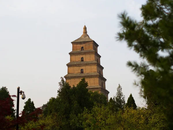 자이언트 와일드 파고다 Giant Wild Goose Pagoda 와일드 파고다 Big — 스톡 사진