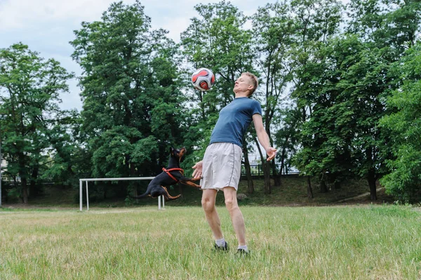 Hombre Con Perro Está Jugando Con Una Pelota Fútbol — Foto de Stock