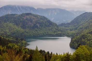 Engebeli arazi ile çevrili olan Almanya, Alpsee Gölü