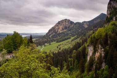Taze yeşil çayırlar ve karla kaplı dağ zirveleri arka plan, Bavyera, Almanya Alpleri'nde pastoral manzara