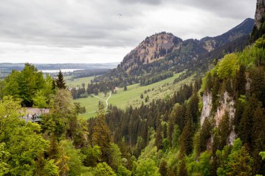 Taze yeşil çayırlar ve karla kaplı dağ zirveleri arka plan, Bavyera, Almanya Alpleri'nde pastoral manzara