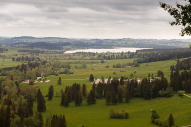 Taze yeşil çayırlar ve karla kaplı dağ zirveleri arka plan, Bavyera, Almanya Alpleri'nde pastoral manzara