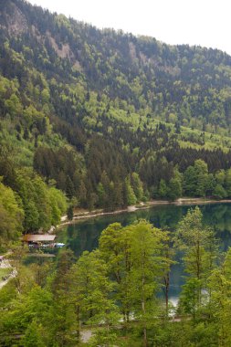 Engebeli arazi ile çevrili olan Almanya, Alpsee Gölü