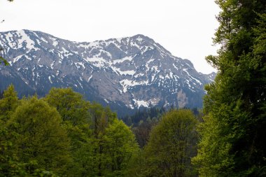 Alpler'de karla kaplı dağ zirveleri arka plan, Bavyera, Almanya ile manzara