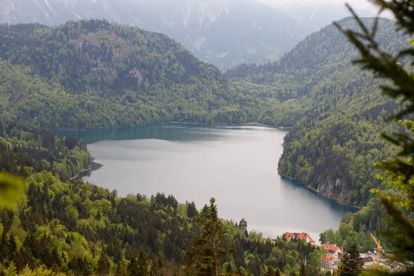 Німеччина Alpsee Озера Оточені Горбистій Місцевості — стокове фото