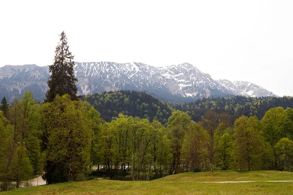 Alpler Karla Kaplı Dağ Zirveleri Arka Plan Bavyera Almanya Ile — Stok fotoğraf