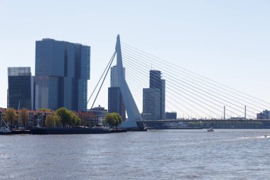 Erasmus Bridge Rotterdam manzarası.