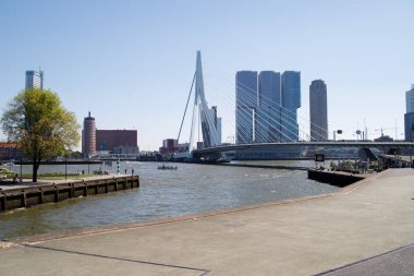 Erasmus Bridge Rotterdam manzarası.