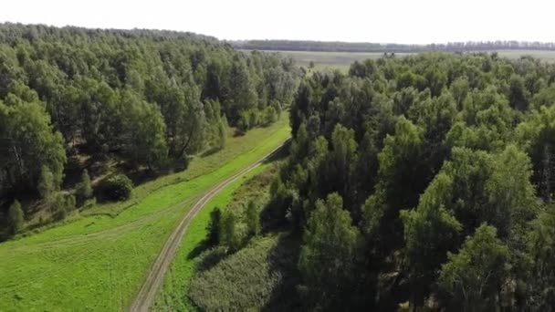 Lage luchtfoto schot in het bos in Rusland net boven en door de boomtoppen vliegen. — Stockvideo