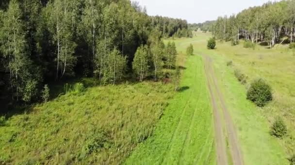 Lågt flygande antenn skott i skogen i Ryssland strax ovanför och genom trädkronorna. — Stockvideo