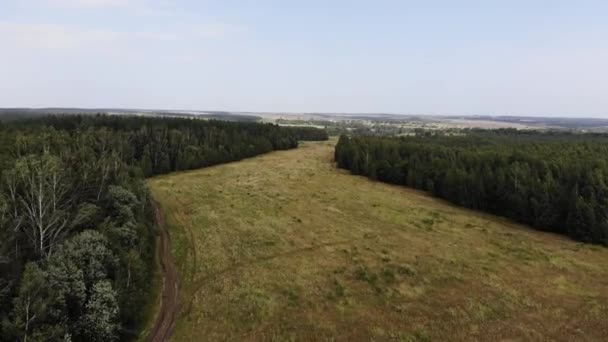 Disparo aéreo de vuelo bajo en el bosque en Rusia justo por encima y a través de las copas de los árboles . — Vídeos de Stock