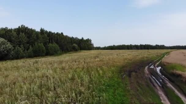 Plan aérien volant à basse altitude dans la forêt en Russie juste au-dessus et à travers la cime des arbres .