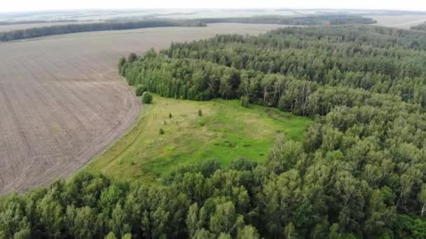 Nízko letící letecký snímek v lese v Rusku těsně nad a v korunách stromů. — Stock video