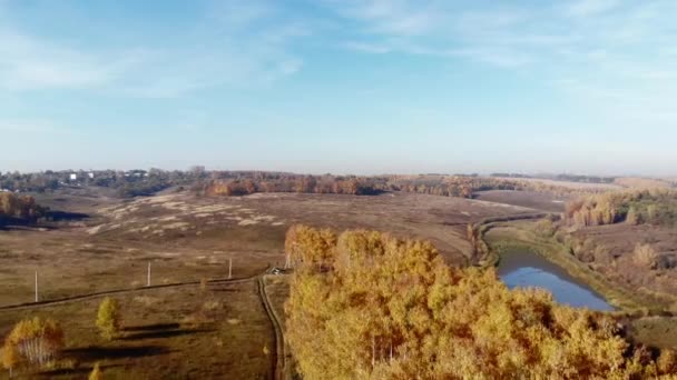 Vista Aérea Floresta Outono Lago Durante Dia Rússia — Vídeo de Stock