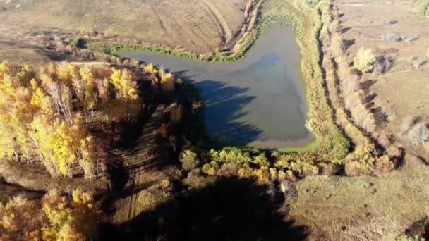 Volando Sobre Lago Otoño Landscap Rusia — Vídeos de Stock