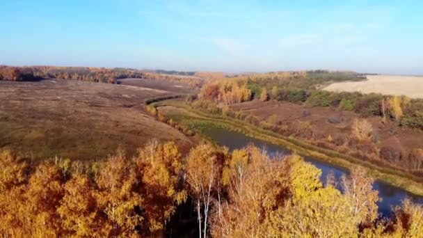 Vista Aérea Del Bosque Otoño Lago Durante Día Rusia — Vídeos de Stock