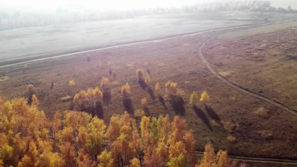 Sorvolando Area Boscosa Vista Aerea — Video Stock