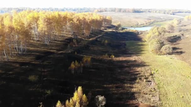 Sorvolando Lago Paesaggio Autunnale — Video Stock