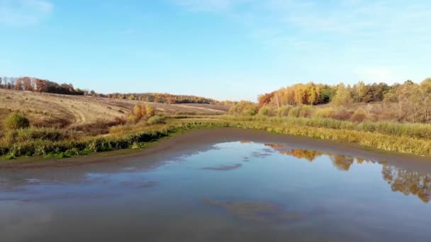 Vliegen Het Meer Herfst Dan Rusland — Stockvideo