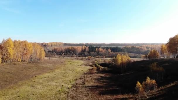 Vliegen Een Bosrijke Omgeving Luchtfoto View Autumn — Stockvideo