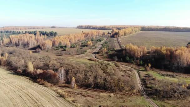 Vliegen Een Bosrijke Omgeving Luchtfoto View Autumn — Stockvideo