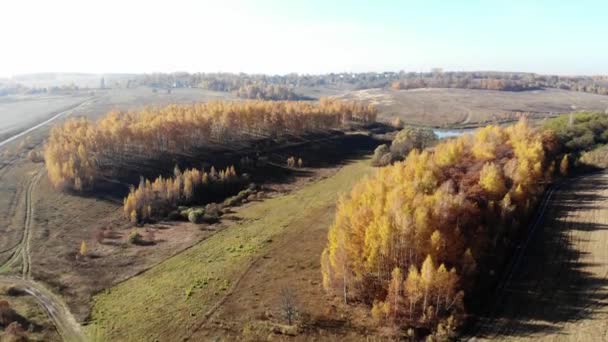 Flygande Över Sjön Hösten Landscap Ryssland — Stockvideo