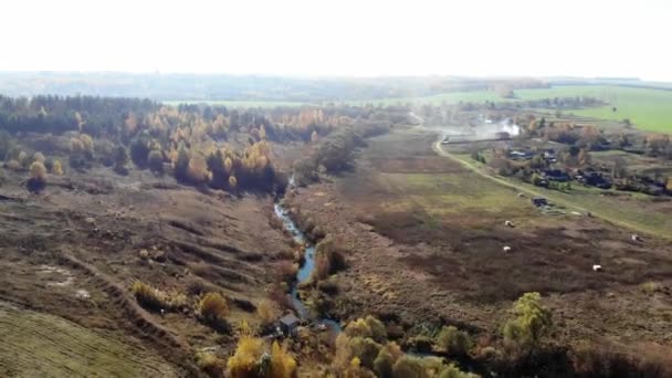 Volando Sobre Lago Paisajes Otoño — Vídeos de Stock