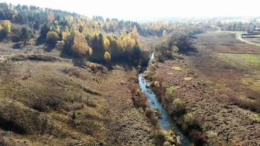 göl üzerinde uçan. Sonbahar landscap