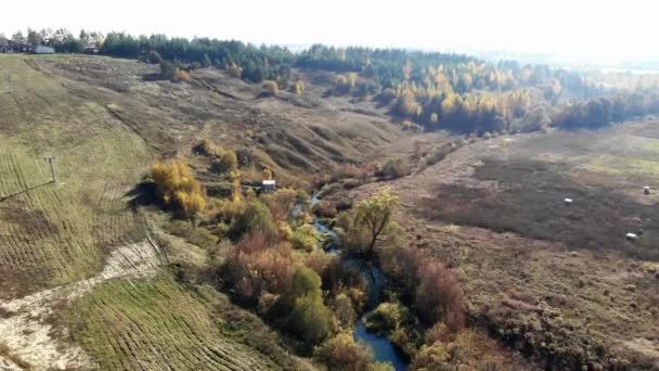 Vliegen Het Meer Herfst Dan Rusland — Stockvideo