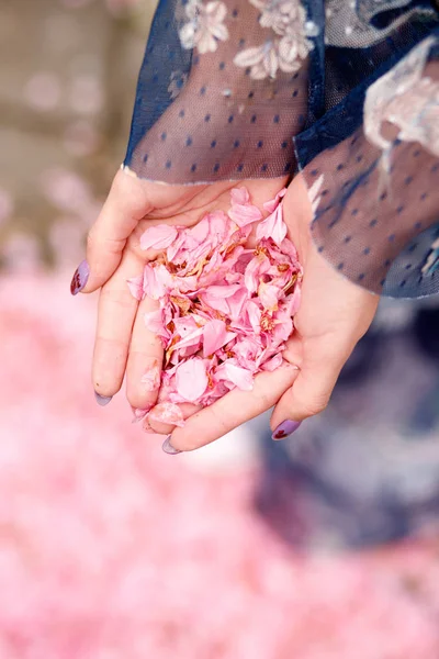 Menina segurando pétalas rosa — Fotografia de Stock