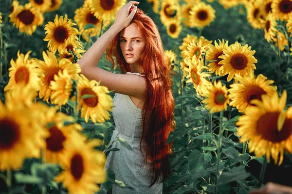 Young Girl Sunflowers Sunny Summer Day — Stock Photo, Image