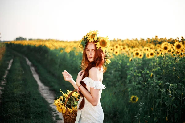 Güneşli Bir Yaz Gününde Ayçiçekleri Içinde Genç Bir Kız — Stok fotoğraf