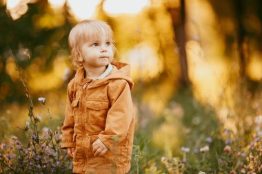 Bir sonbahar günü, gün batımında bej ceketle yürüyen tatlı bir erkek bebek.