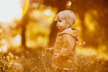 Bir sonbahar günü, gün batımında bej ceketle yürüyen tatlı bir erkek bebek.