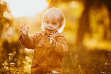 Bir sonbahar günü, gün batımında bej ceketle yürüyen tatlı bir erkek bebek.