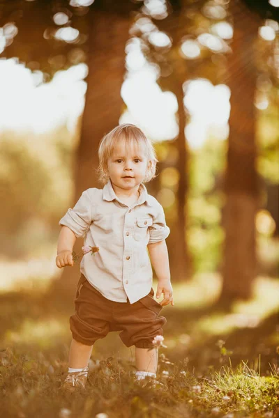 Een Kleine Blonde Jongen Gekleed Een Vintage Jumpsuit Een Veld — Stockfoto