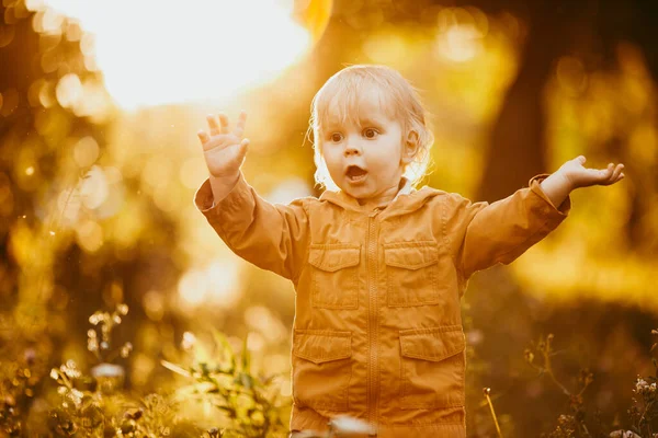 Schattige Baby Jongen Wandelen Beige Jas Bij Zonsondergang Een Herfstdag — Stockfoto