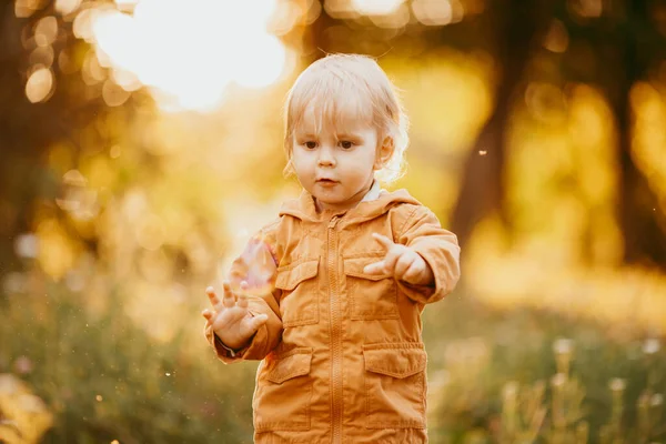 Cute Baby Boy Walking Beige Jacket Sunset Autumn Day — Stock Photo, Image
