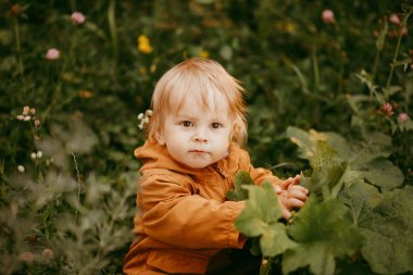 Bir sonbahar günü, gün batımında bej ceketle yürüyen tatlı bir erkek bebek.