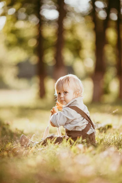 Small Blond Boy Dressed Vintage Jumpsuit Field Sunset Summer Day — Stock Photo, Image