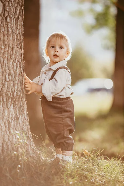 Small Blond Boy Dressed Vintage Jumpsuit Field Sunset Summer Day — Stock Photo, Image