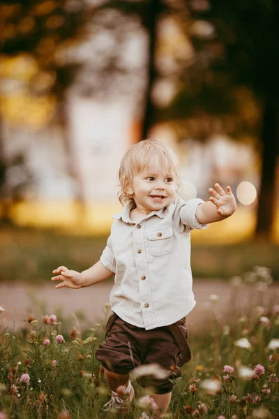 Small Blond Boy Dressed Vintage Jumpsuit Field Sunset Summer Day — Stock Photo, Image