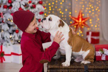 Noel tatili. yakışıklı çocuk çevresinde ağaç bol presents yeni yıl için onun arkadaş İngilizce bulldog yakın ile yaşam süresi zevk. Sihirli Noel