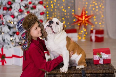 Noel tatili. yakışıklı çocuk çevresinde ağaç bol presents yeni yıl için onun arkadaş İngilizce bulldog yakın ile yaşam süresi zevk. Sihirli Noel