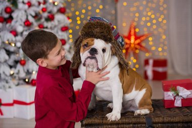 Noel tatili. yakışıklı çocuk çevresinde ağaç bol presents yeni yıl için onun arkadaş İngilizce bulldog yakın ile yaşam süresi zevk. Sihirli Noel