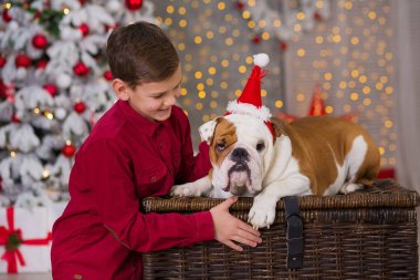 Noel tatili. yakışıklı çocuk çevresinde ağaç bol presents yeni yıl için onun arkadaş İngilizce bulldog yakın ile yaşam süresi zevk. Sihirli Noel